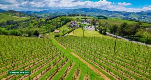 zarautz_vinedos_a3_wp_160503_012