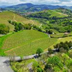 zarautz_vinedos_a3_wp_160503_016