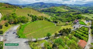 zarautz_vinedos_a3_wp_160503_016