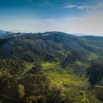 liendo_a2_lm_160608_048