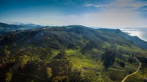 liendo_a2_lm_160608_048